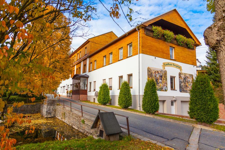 Landhaus Bergidyll Беренштайн Экстерьер фото