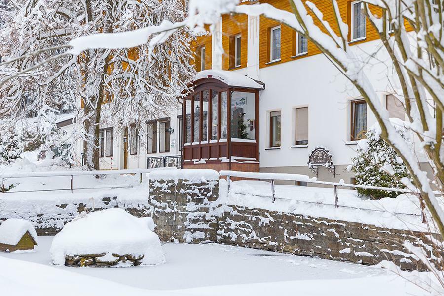 Landhaus Bergidyll Беренштайн Экстерьер фото