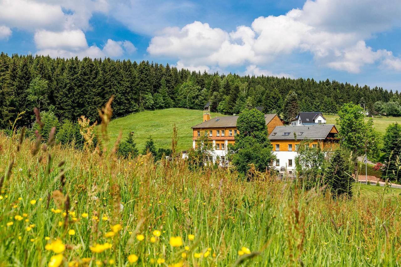 Landhaus Bergidyll Беренштайн Экстерьер фото